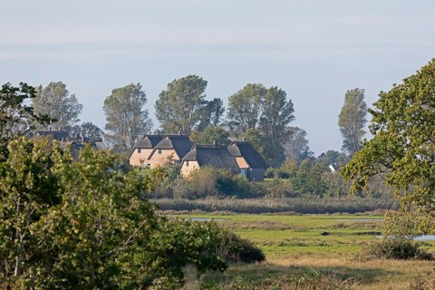Holiday village Reetdorf Geltinger Birk, Geltinger Birk nature reserve, Geltinger Bucht,