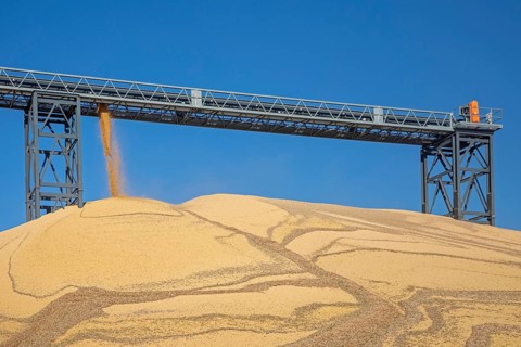 Inwood, Iowa - Newly-harvested corn is piled up at Cooperative Farmers Elevator (CFE). The pile