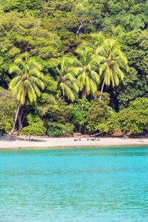 Tropical beach, Manuel Antonio National Park, Quepos, Costa Rica