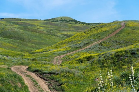 A dirt track winds through a hilly, green-yellowish landscape, countryside near Hatsavan, Kotayk