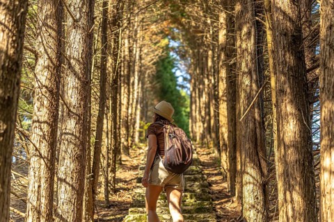 Female tourist wearing hat and backpack walking up stone steps in a beautiful tunnel formed by