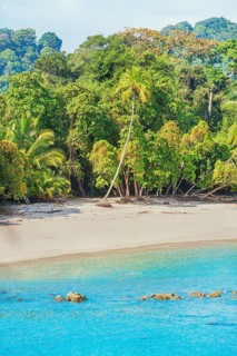 Tropical beach, Manuel Antonio National Park, Quepos, Costa Rica