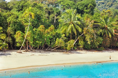 Tropical beach, Manuel Antonio National Park, Quepos, Costa Rica