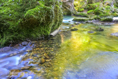 Erlauf Gorge, Purgstall an der Erlauf, Lower Austria, Austria