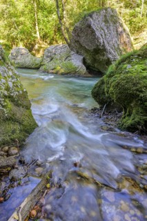 Erlauf Gorge, Purgstall an der Erlauf, Lower Austria, Austria