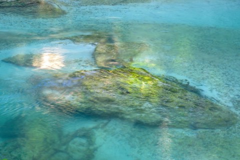 Turquoise water in the Erlauf gorge, Purgstall an der Erlauf, Lower Austria, Austria