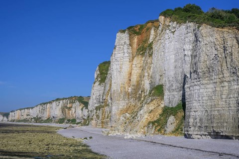 Chalk cliffs at low tide, Yport, Département Seine-Maritime, France