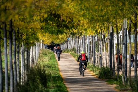 Cycle path, footpath, avenue, residential area along Toulouser Allee, high-rise buildings with