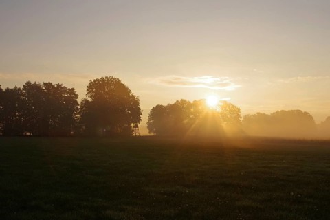 Landscape, Sunrise, Meadow, High seat, Mood, Autumn, North Rhine-Westphalia, Germany, In the