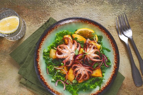 Warm salad, grilled mini octopus, with potatoes and fresh herbs, homemade, no people