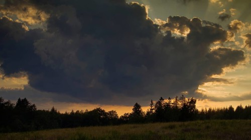 Dense cloud cover at sunset, atmospheric ambience with silhouettes of trees against a dramatic sky.