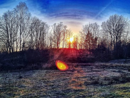 Sunset behind trees with purple-coloured sky and luminous atmosphere. Heaths and rough grassland