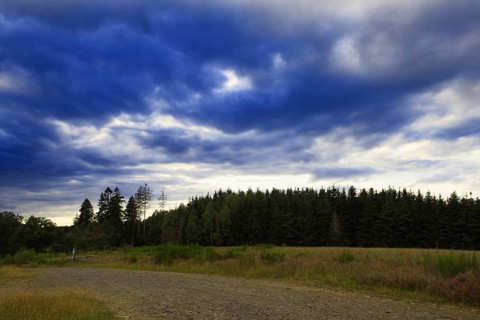 Dramatic sky with dark clouds over a field and neighbouring forest, heaths and rough grassland