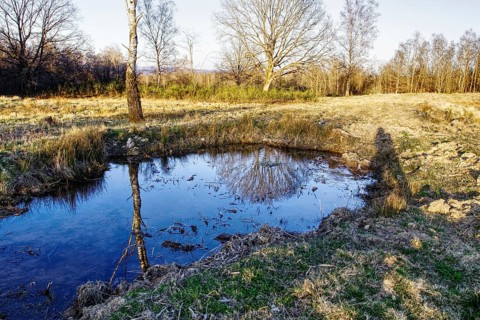 Small pond with water reflection in a meadow landscape with trees. NSG heaths and rough grassland