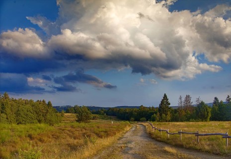 Rural path through a grassy landscape, dramatic cloud formations in the blue sky. NSG heaths and