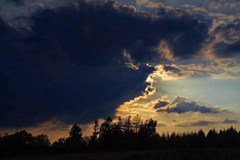 Dramatic cloud formations at sunset, trees silhouetted against a colourful evening sky. Heaths and