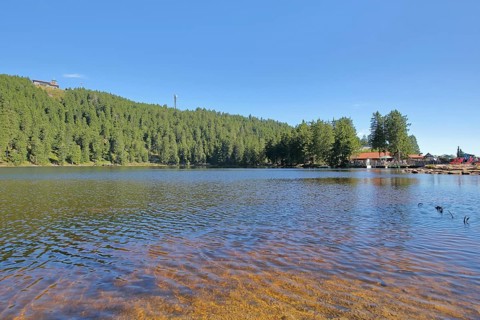 Lakescape with forest and mountain, Karsee, mountain lake, shore, transmission tower, mountain