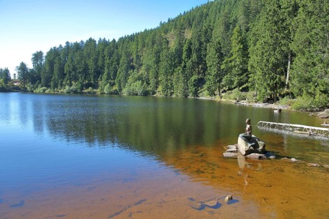Mermaid sitting on a rock in the water, bronze sculpture, modern art, lake nymph, stone, forest,