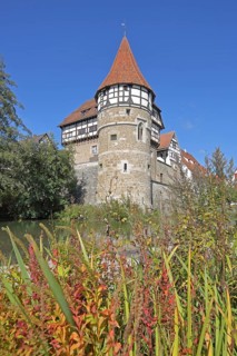 Zollern Castle built ca. 1255 with water tower with grasses, autumn colours, Castle, Balingen,