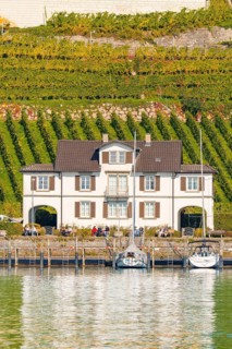 Small house on the lakeshore in front of extensive vineyards with boats in the foreground,