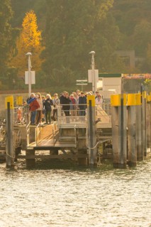 People waiting at a jetty surrounded by trees with autumn colours, Mainau Island, Lake Constance,