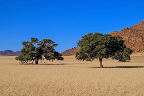 Landscape on the Kanaan farm of the nature conservation organisation Naankuse, Tirasberge, Karas