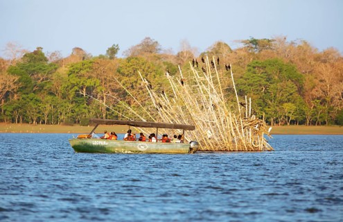 Safari boat on the Kabini Reservoir watching cormorants, Kabini, Karnataka, India