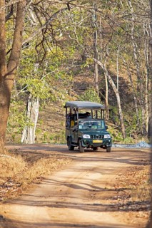 Safari jeep in the dry forest, Nagarahole National Park, Kabini, Karnataka, India