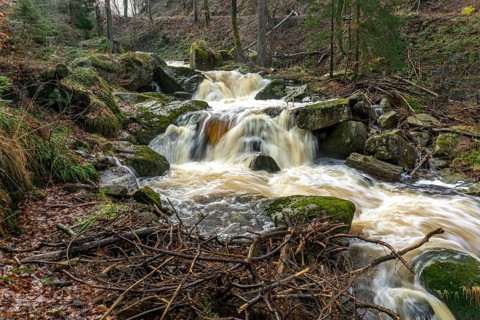 The Ilse at the Heinrich-Heine-Weg near Ilsenburg, Saxony-Anhalt, Germany