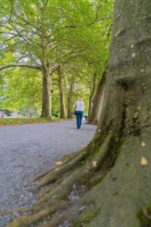 Woman walking away from large trees on a paved path, Mainau Island, Lake Constance, Germany
