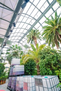 Large tanks and palm trees under a greenhouse roof with an industrial flair, Pepperoni Haus, Mainau