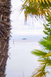 A calm lake with a boat in the distance, framed by tropical palm trees, Mainau Island, Lake