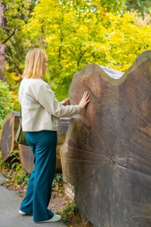 Woman touching a large tree trunk in the forest, Mainau flower island, Lake Constance, Germany