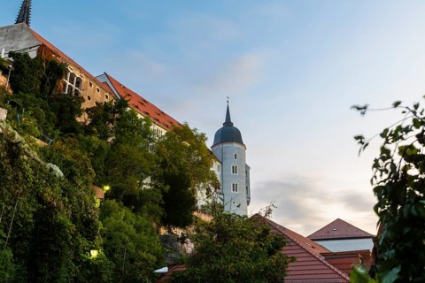 Blue Tower of Albretsburg Castle, Houses, Old Town, Meissen, Saxony, Germany
