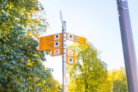 Yellow signposts in front of autumnal trees and a sunny sky with directions, Überlingen, Lake