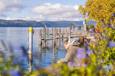 Landing stage at a lake with flowers and people enjoying the autumn atmosphere, Überlingen, Lake