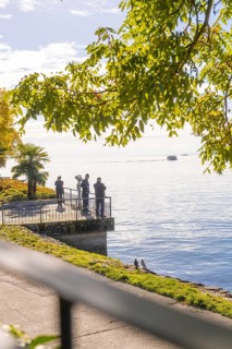 A group of people enjoying the view of the lake from a vantage point under a brightly lit tree,
