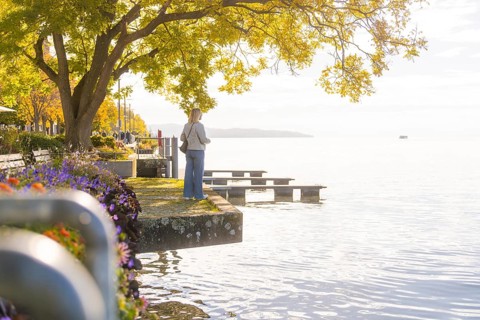 A woman stands on the lakeshore, surrounded by trees and flowers, while the scenery is bathed in