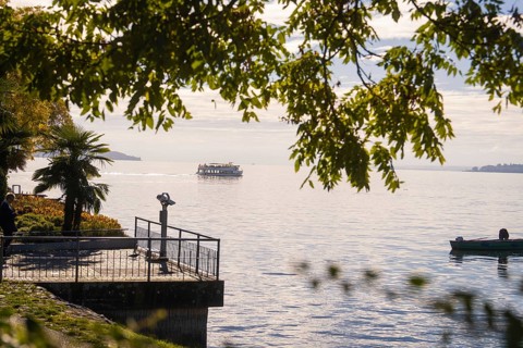 A boat can be seen under tree branches on a calm lake, with palm trees and a tranquil atmosphere,