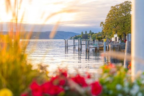 The picturesque lake with jetties at dusk, surrounded by colourful flowers, Überlingen, Lake