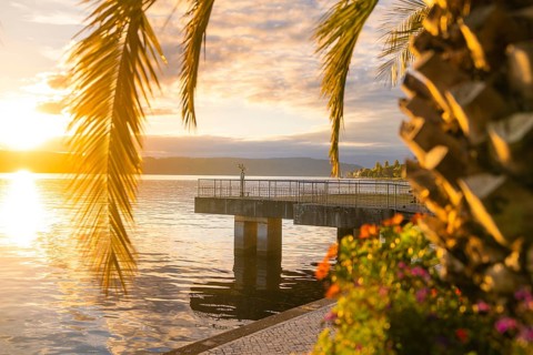Atmospheric view of a pier under palm trees at sunset, Überlingen, Lake Constance, Germany