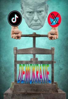 Symbolic image, asocial networks, X-Twitter, Elon Musk, TikTok, false reports, freedom,