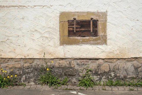 Cellar window with wooden shutter, Göcklingen, Southern Palatinate, Palatinate,