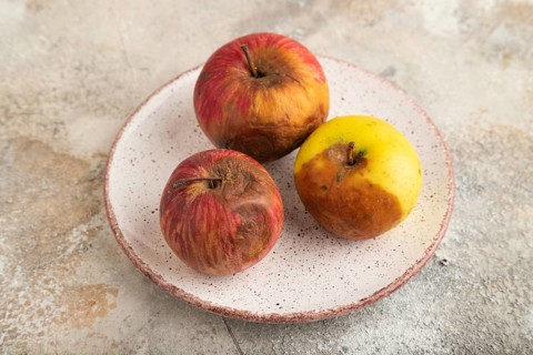 Decaying, Rotting apples on ceramic plate on brown concrete background. Side view, close up,