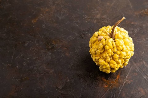 Decorative orange Pumpkin with tumors on black concrete background, side view, copy space,