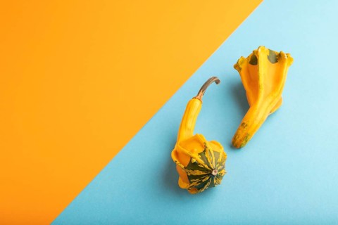 Two decorative orange Pumpkins on blue and orange pastel paper background, side view, copy space,