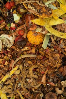 Compost pile made of organic food, leaves, vegetable and fruit Waste mix, Zero waste and Eco