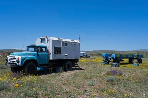 An old lorry with a camper van on a flowering meadow under a blue sky, beekeeper, near Karakert,