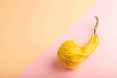Decorative orange Pumpkin on pink and orange pastel paper background, side view, copy space,