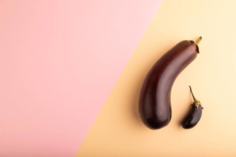 Two Eggplants big and small on pink and orange pastel paper background, top view, flat lay, copy
